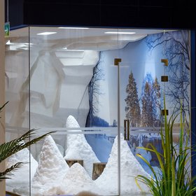 Снежная Аллея (рис.2)